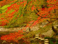 小石川後楽園の紅葉