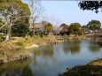 冬の公園風景