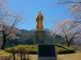 麻那姫像と桜