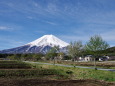 弥生の富士山