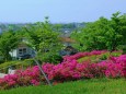 大乗寺丘陵公園から金沢の眺め#2