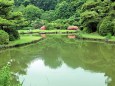 初夏の日本庭園