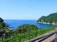 余部鉄橋「空の駅」から日本海