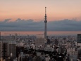 スカイツリーの夕景