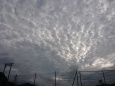 網目状の信州の雲