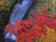 紅葉の三段の滝 
