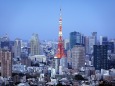 東京タワーを望む