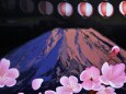富士山と桜のイルミ