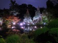 甘泉園庭園ライトアップ