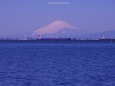 海の向こうの富士山