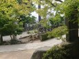 松本四柱神社の魅力