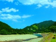 清流銚子川