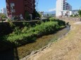 夏の女鳥羽川と松本の街