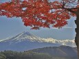 河口湖の紅葉