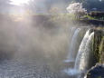 さわやか朝の原尻の滝