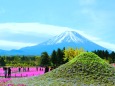2つの富士山No,2