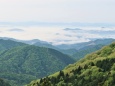新緑の大江山からの雲海