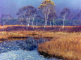 尾瀬ヶ原の池塘と白樺～1976年