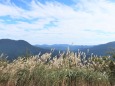 ススキと熊野の山々