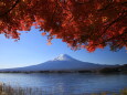 秋の風景富士山