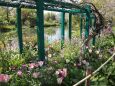 モネの庭の花壇-1