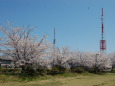 東京タワー？&スカイツリー？