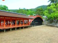 初夏の厳島神社