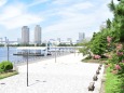 お台場海浜公園 夏