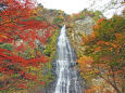 色付く季節2 紅葉の滝