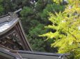 色付く季節9 山寺の秋