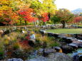 秋の彩り 公園の池