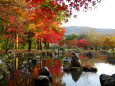 秋の彩り 公園の池