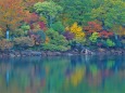 湖面に映る紅葉