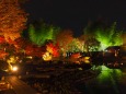 秋の夜散歩