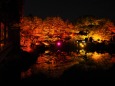 秋の夜の平安神宮