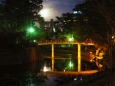 夜の岡崎公園