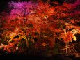 秋の夜の長谷寺