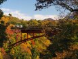 秋の猿橋
