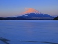 冬は紅富士