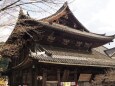 新春の奈良長谷寺