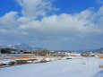 蒜山高原 雪景色6