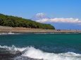 仲春の三保松原から望む富士山