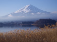 河口湖 大石公園から望む富士山