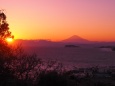 逗子から望む富士山の夕景