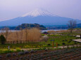 河口湖 大石公園から見る富士山