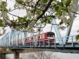 多摩川の桜と京急電車