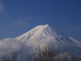 白くなった富士山