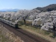 一目千本桜と東北本線