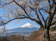 孝徳公園から富士を望む