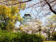 春の大阪城公園